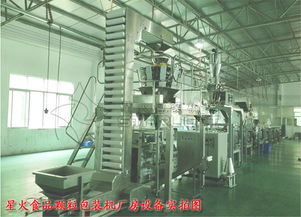 藍(lán)莓干食品包裝機(jī)與全自動(dòng)食品顆粒包裝機(jī) 提升生產(chǎn)效率的智能選擇